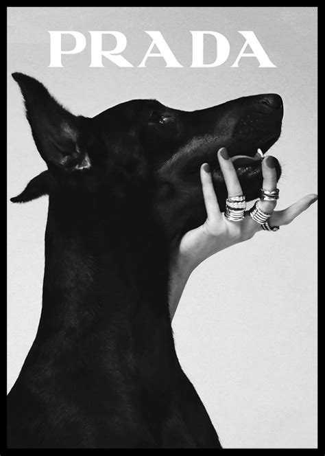 prada dog poster|Prada posters.